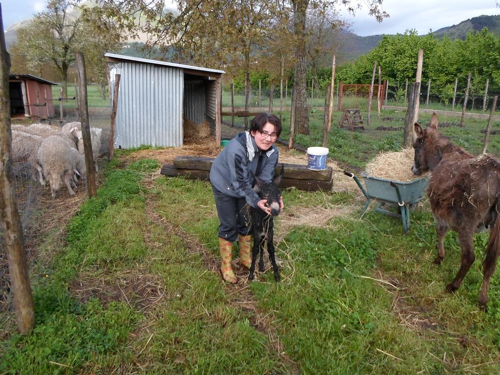 מונטלה Azienda Agrituristica Pericle מראה חיצוני תמונה