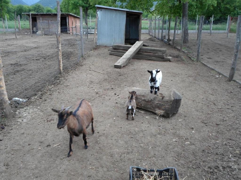 מונטלה Azienda Agrituristica Pericle מראה חיצוני תמונה
