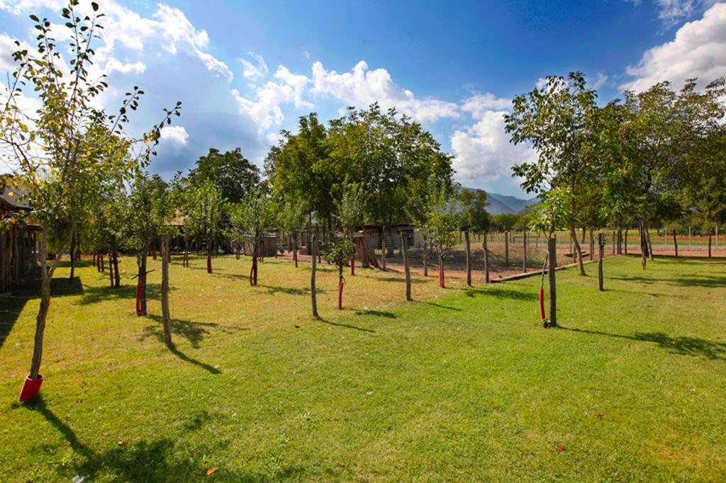 מונטלה Azienda Agrituristica Pericle מראה חיצוני תמונה